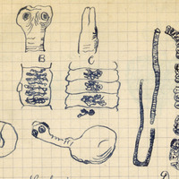 2117-1208r