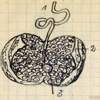 2117-1208t